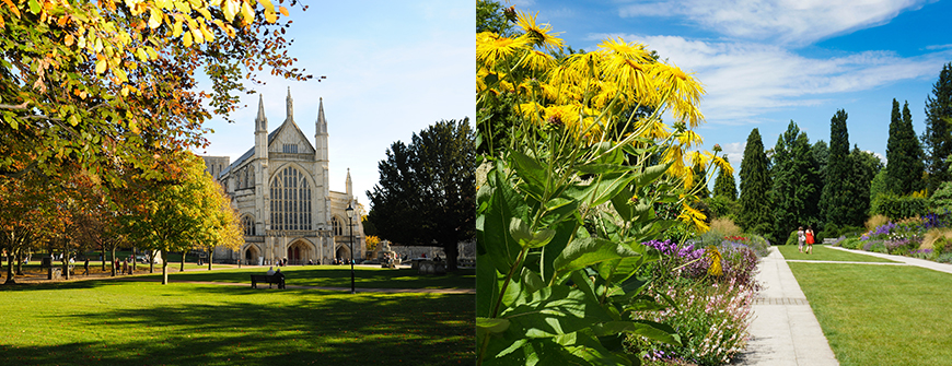 Winchester Cathedral and Sir Harold Hillier Gardens